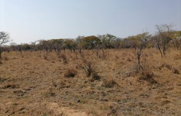 GWERU FARM (BBP37)