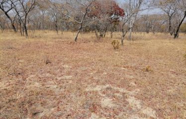 GWERU FARM (BBP37)