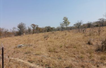 GWERU FARM (BBP37)