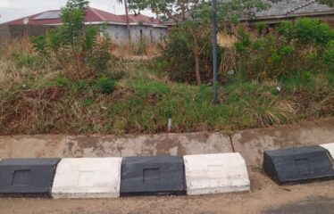 NYABIRA (BBP31)