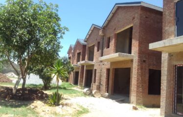 GREENDALE ATHLONE(BBP)